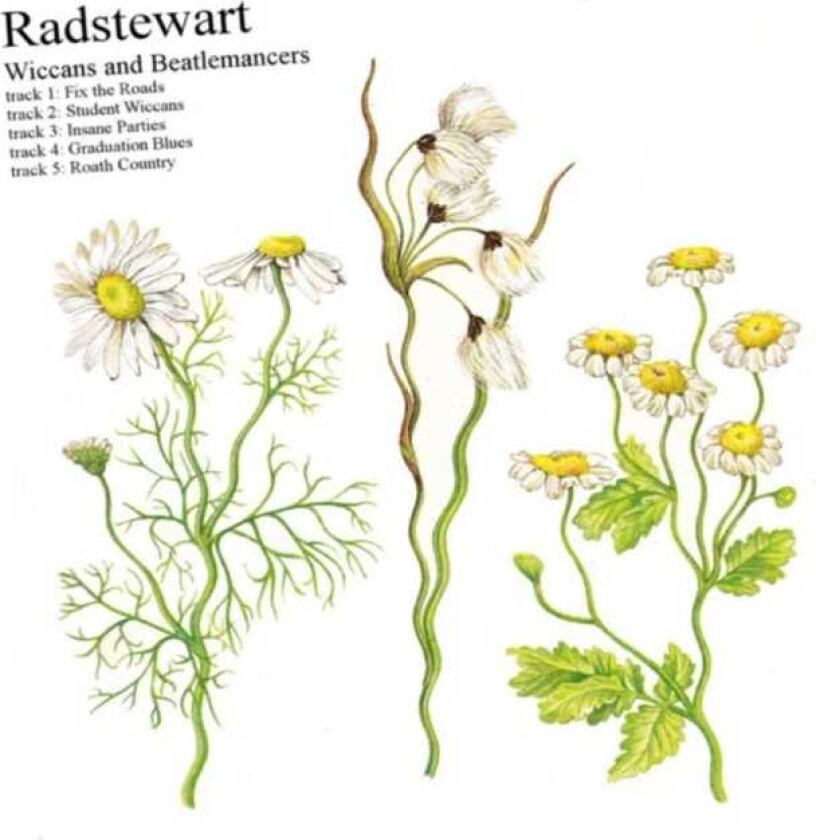 Radstewart Wiccans And Beatlemancers EP CD