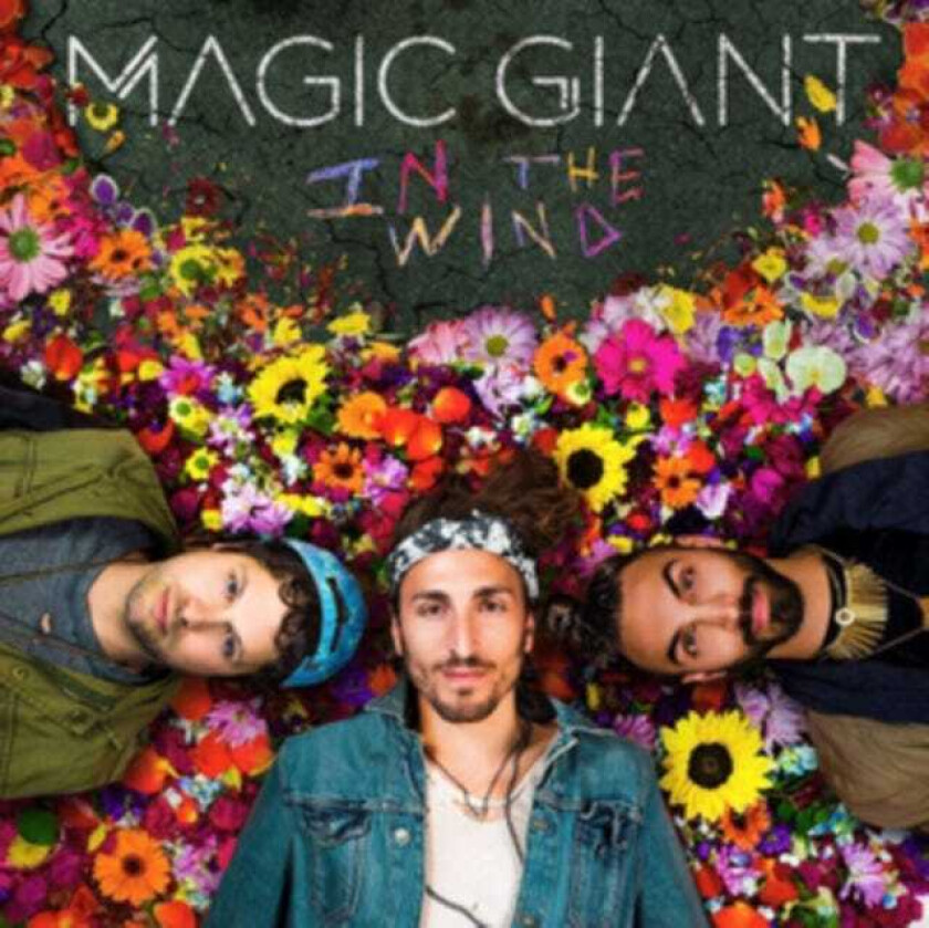 Magic Giant In The Wind CD