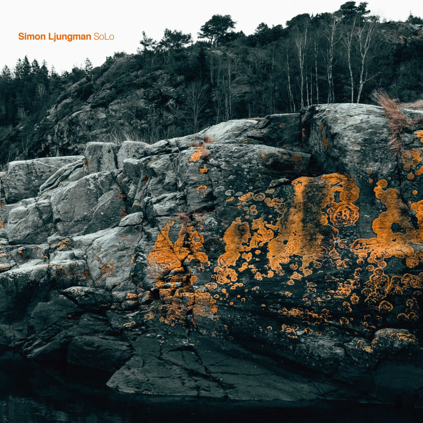 Simon Ljungman Solo LP/Vinyl