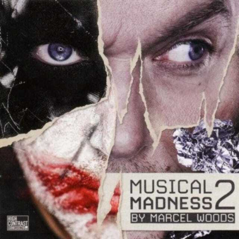 Diverse Artister, Diverse Electronica Musical Madness CD