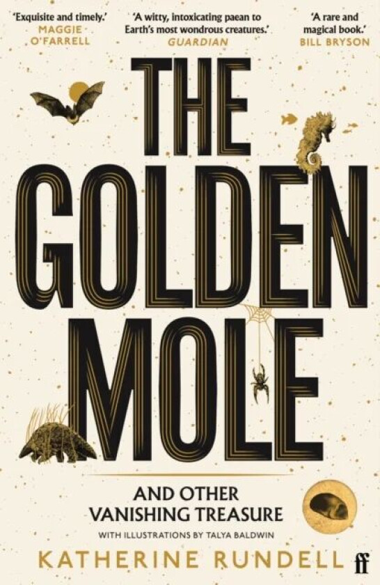 The Golden Mole av Katherine Rundell