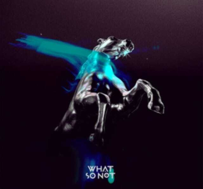 What So Not Not All The Beautiful Things CD