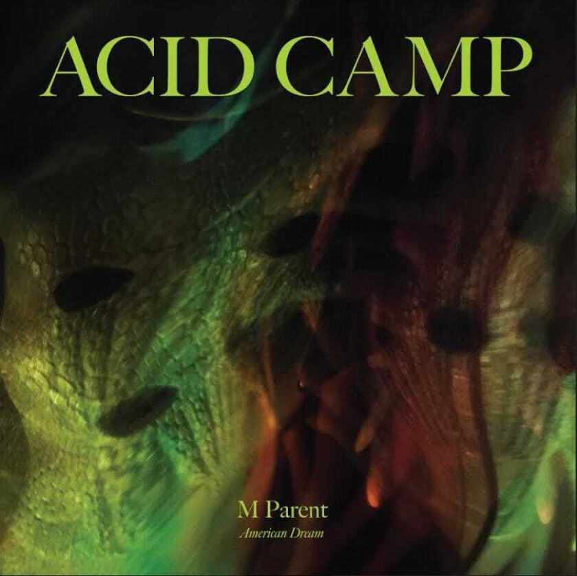 M Parent American Dream LP/Vinyl