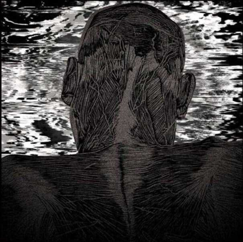 Asher Levitas Lit Harness CD