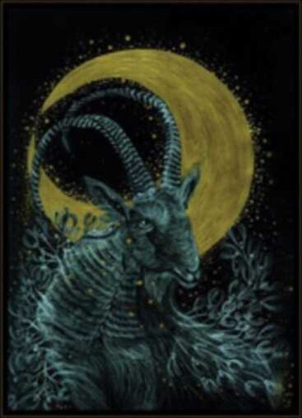 Monocube The Rituals CD