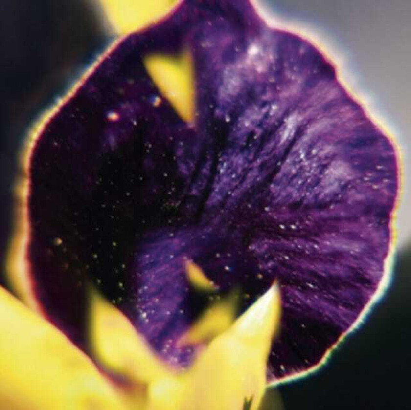 Fis From Patterns To Details CD