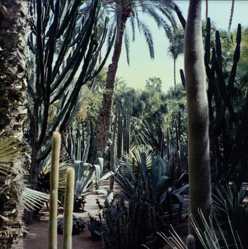 Three Body Three Body LP/Vinyl