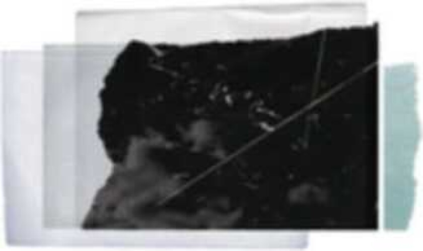 Christopher Bissonnette Essays In Idleness CD