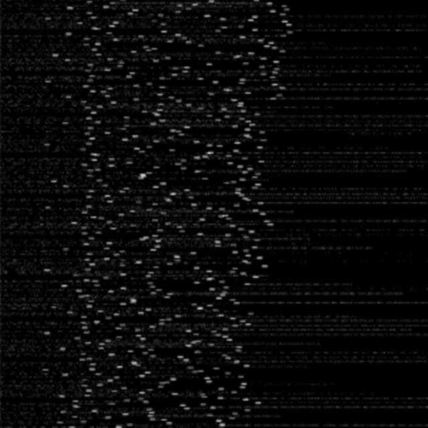 Application System Fork CD