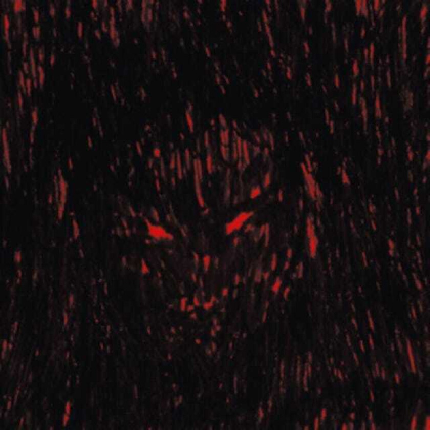 DJ Richard Dies Irae Xerox CD