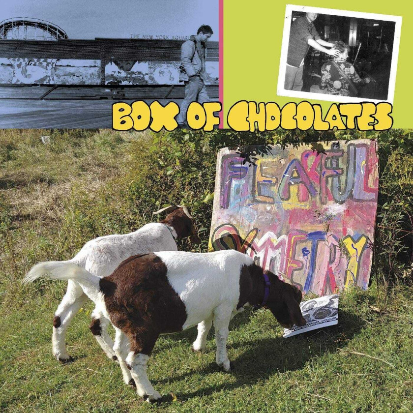 Box Of Chocolates Fearful Symmetry LP/Vinyl