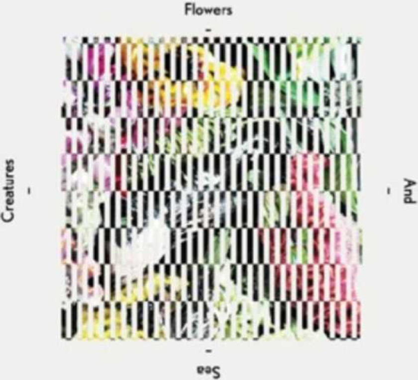 Flowers And Sea Creatures Flowers And Sea Creatures CD