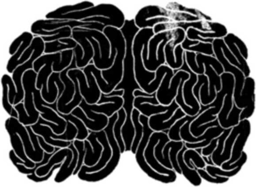 Diverse Artister, Diverse Electronica Brainmaths CD