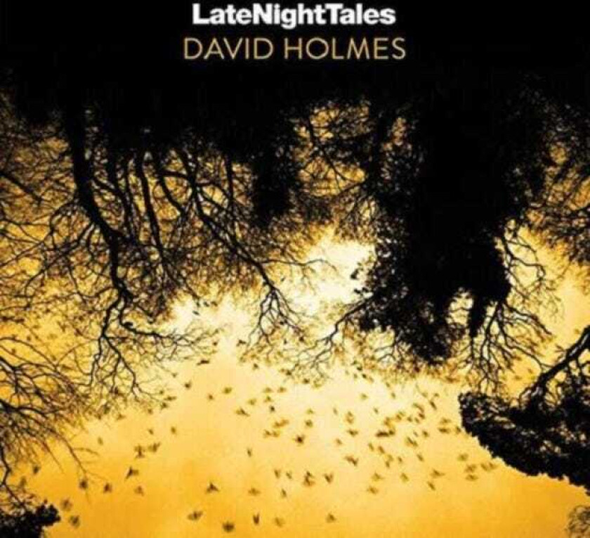 Diverse Artister, Diverse Electronica, David Holmes  Late Night Tales  CD