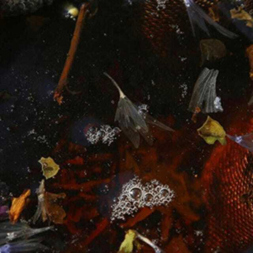 Philippe Petit On Top LP/Vinyl