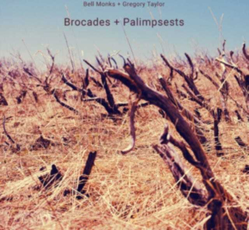 Bell Monks + Gregory Taylor, Bell Monks, Gregory Taylor Brocades + Palimpsests CD