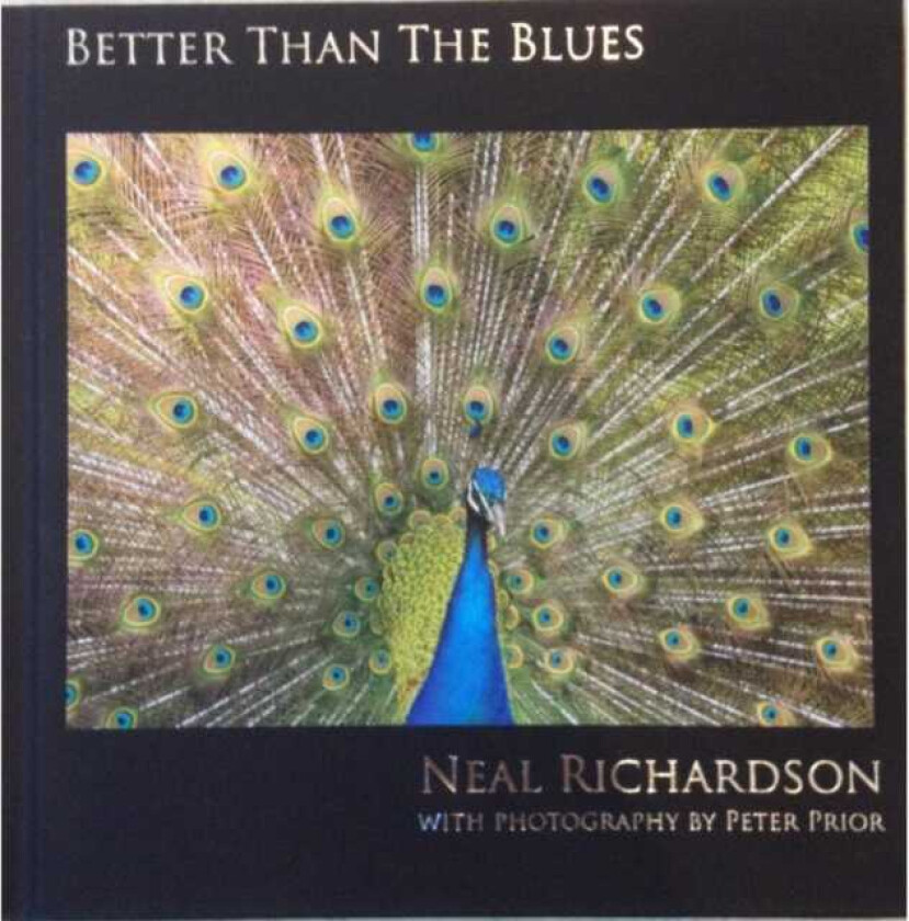 Neil Richardson  Better Than The Blues  CD