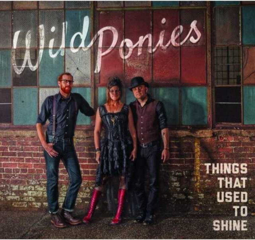 Wild Ponies  Things That Used To Shine  CD