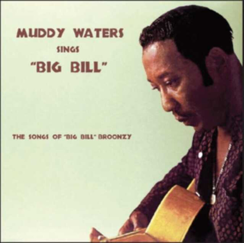 Muddy Waters  Muddy Waters Sings 'big Bill'  CD