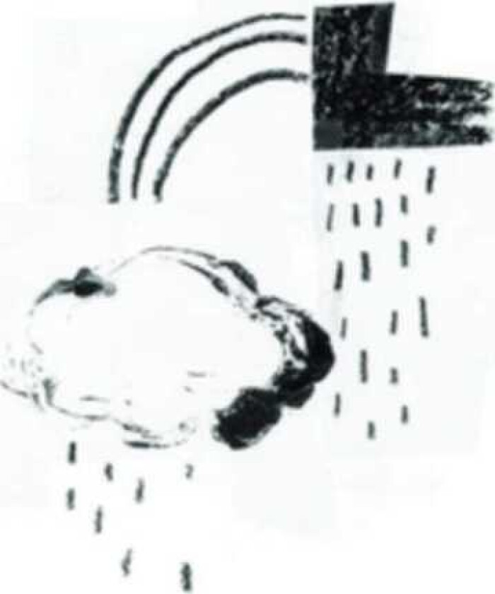 Damien Jurado In The Shape Of A Storm CD