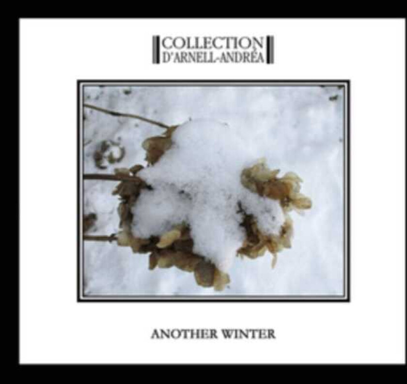 Collection D'Arnell Andrea  Another Winter  CD