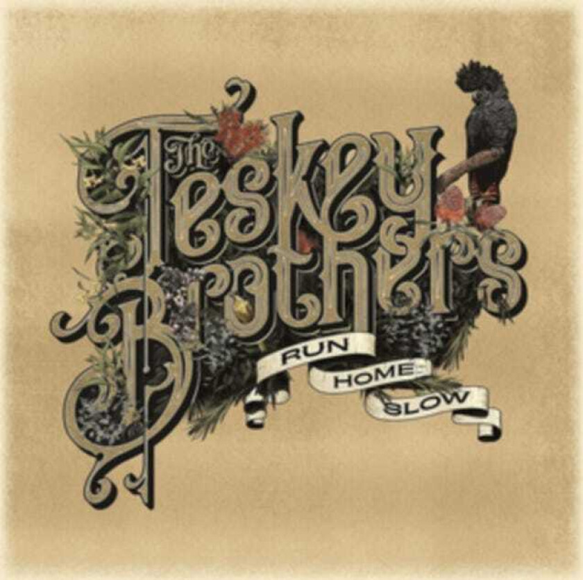 The Teskey Brothers Run Home Slow CD