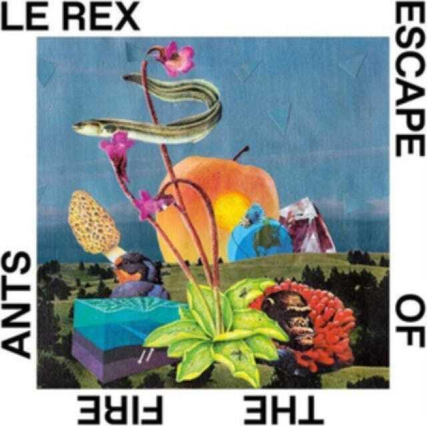 Le Rex  Escape Of The Fire Ants  CD