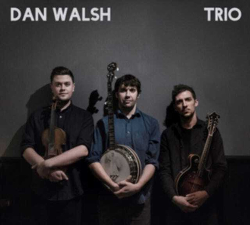 Dan Walsh Trio CD