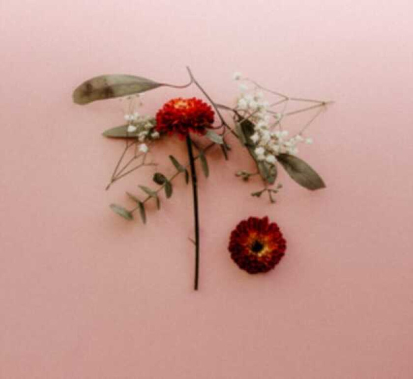 Sunsleeper You Can Miss Something & Not Want It Back LP/Vinyl