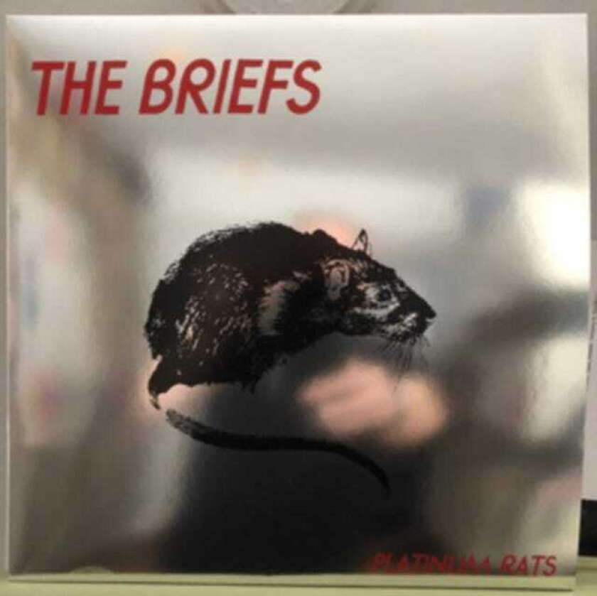 The Briefs Platinum Rats CD
