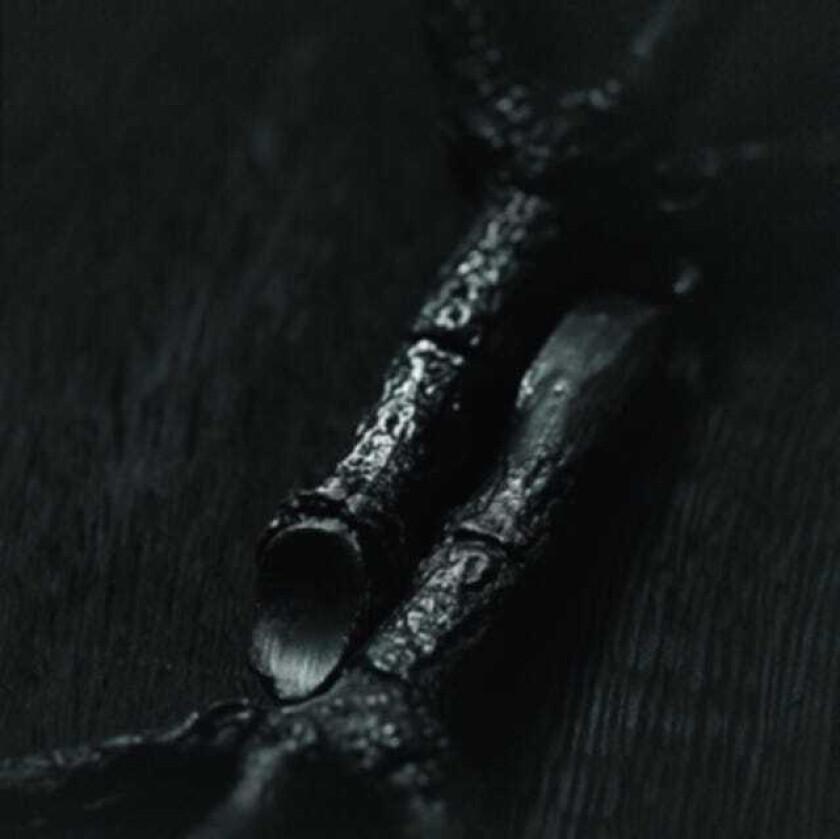 Trepaneringsritualen Algir; Eller Algir I Merkstave LP/Vinyl