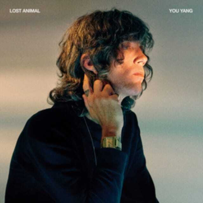 Lost Animal You Yang LP/Vinyl