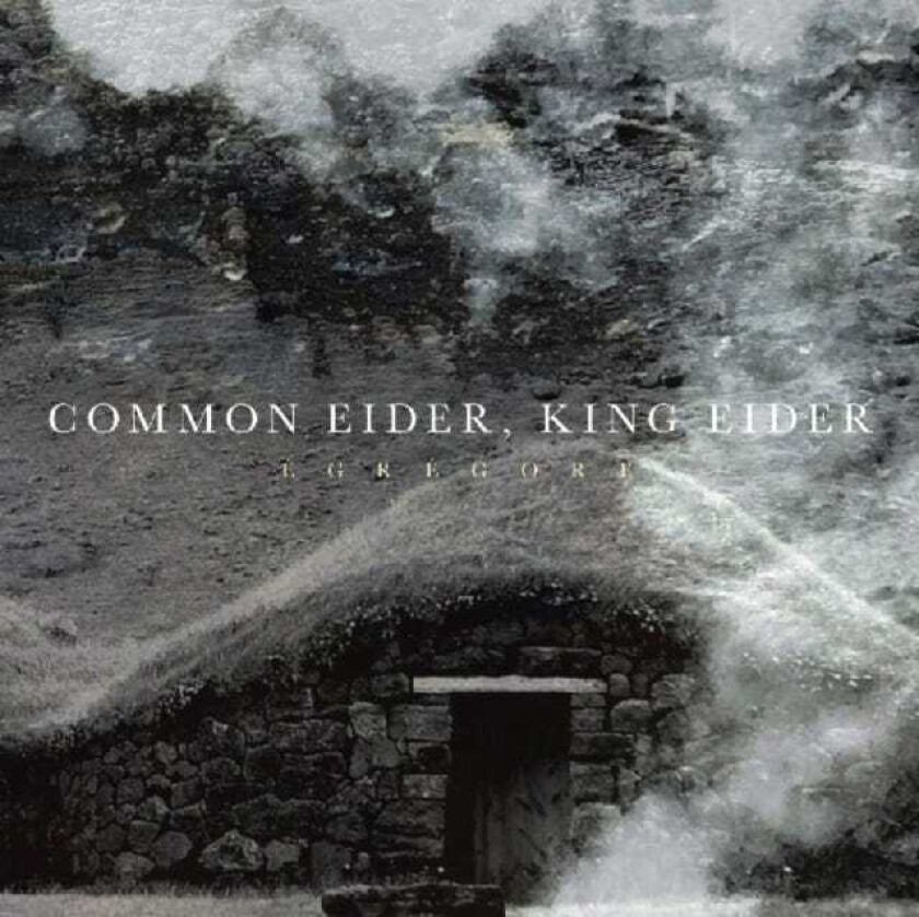 Common Eider, King Eider Egregore CD