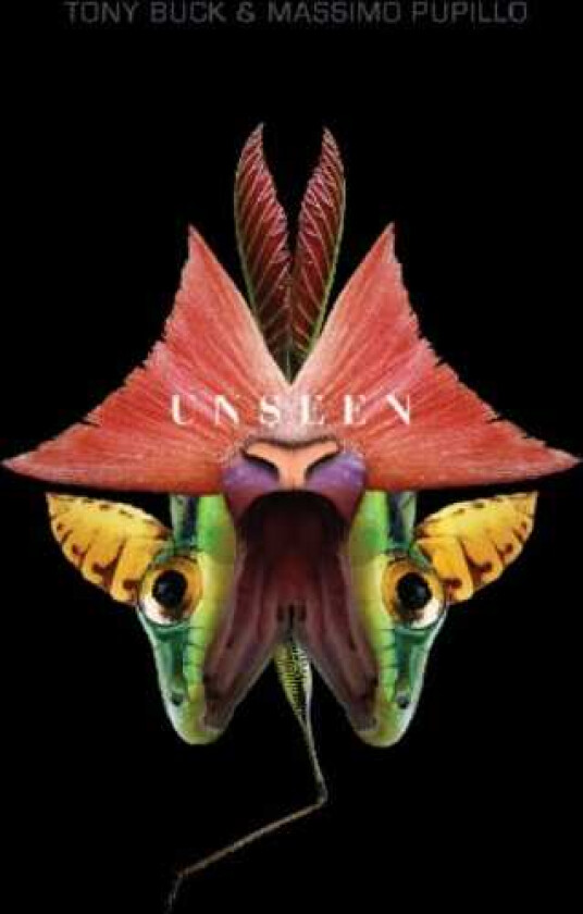 Tony Buck & Massimo Pupillo, Tony Buck, Massimo Pupillo Unseen CD