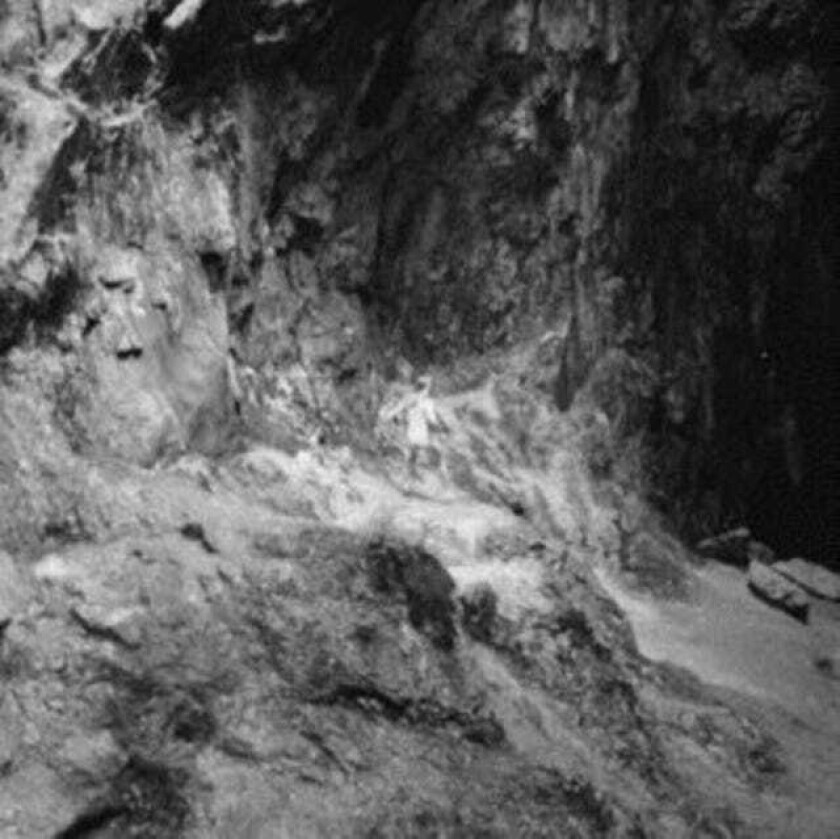 Bilde av Oberst Paradise CD