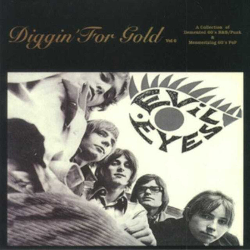 Diverse Artister Diggin' For Gold Vol. 6 LP/Vinyl