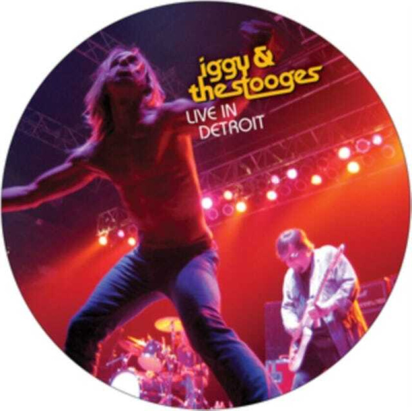 Iggy And The Stooges, Iggy Pop, The Stooges Live In Detroit LP/Vinyl