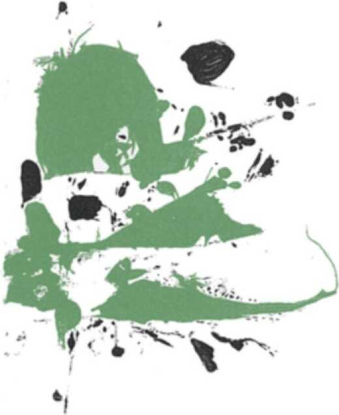 The Setting Son Before I Eat My Eyes And Ears LP/Vinyl