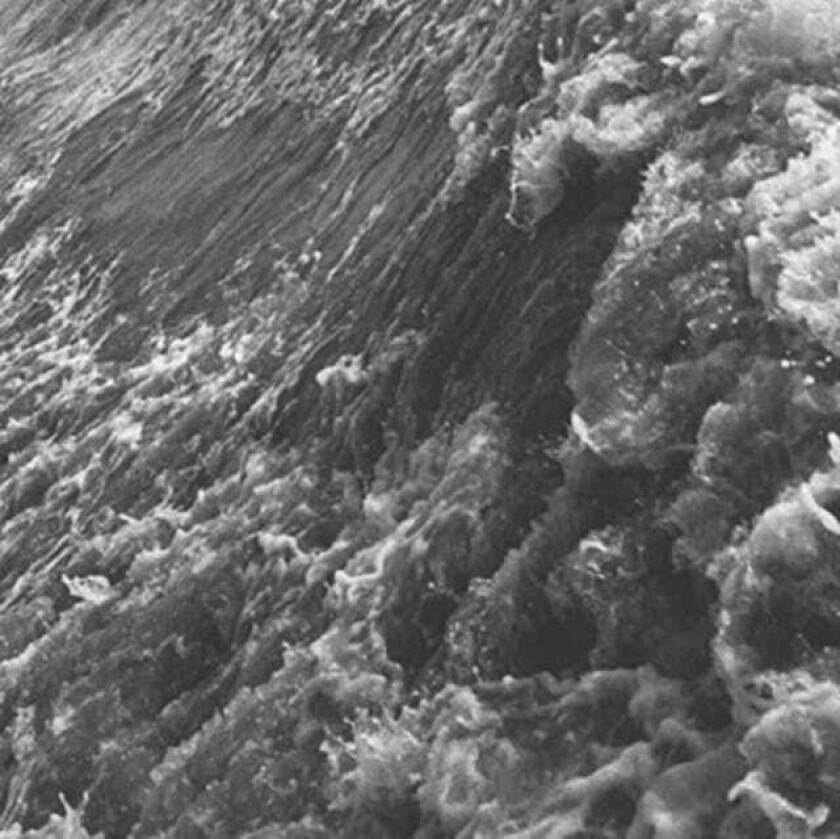 Douglas Dare Caroline/If Only LP/Vinyl