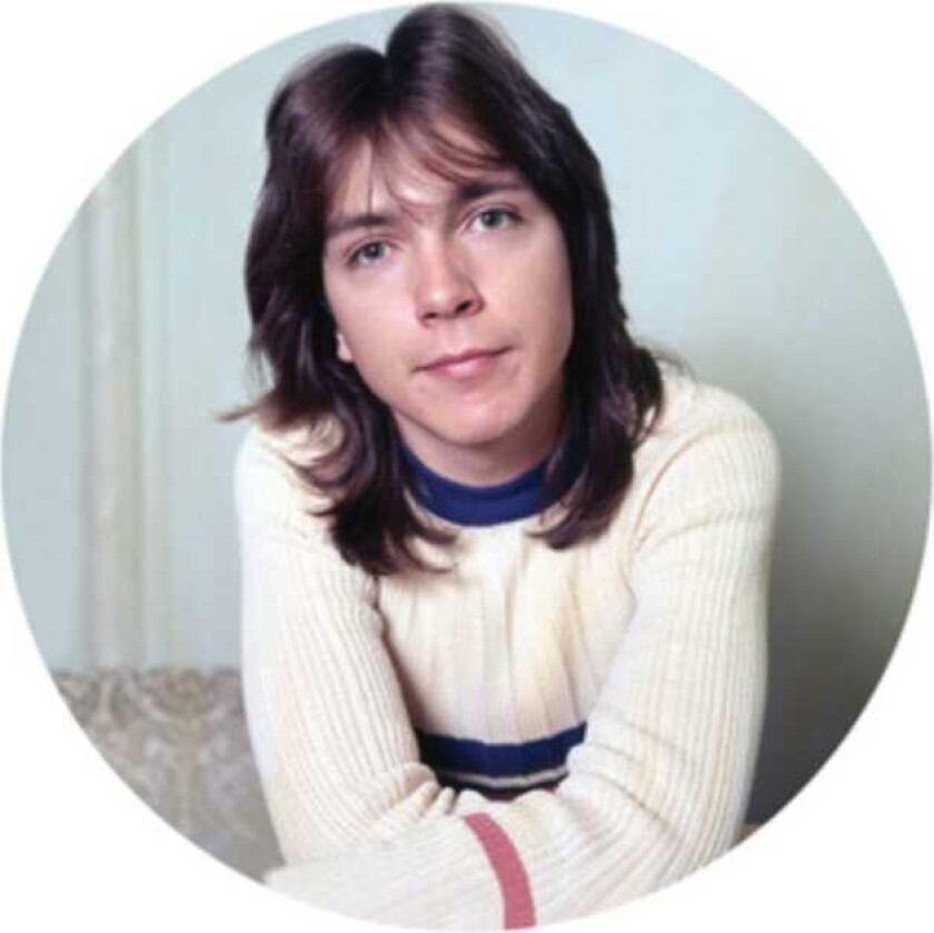 David Cassidy I Think I Love You LP/Vinyl