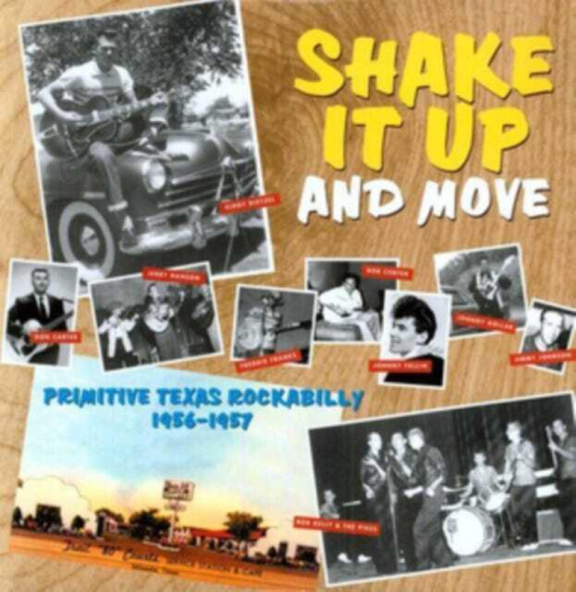 Diverse Artister  Shake It Up And Move  LP/Vinyl