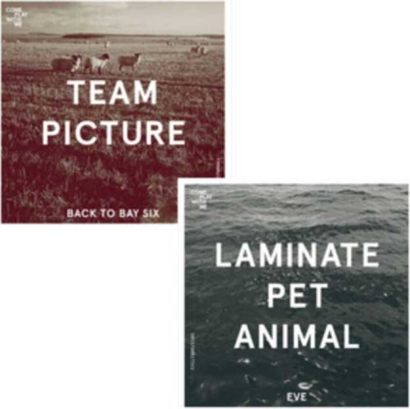 Team Picture, Laminate Pet Animal Back To Bay Six/Eve LP/Vinyl