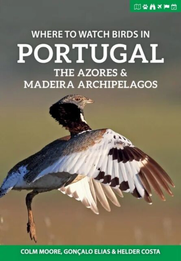 Where to Watch Birds in Portugal, the Azores & Madeira Archipelagos av Colm Moore, Goncalo Elias, Helder Costa