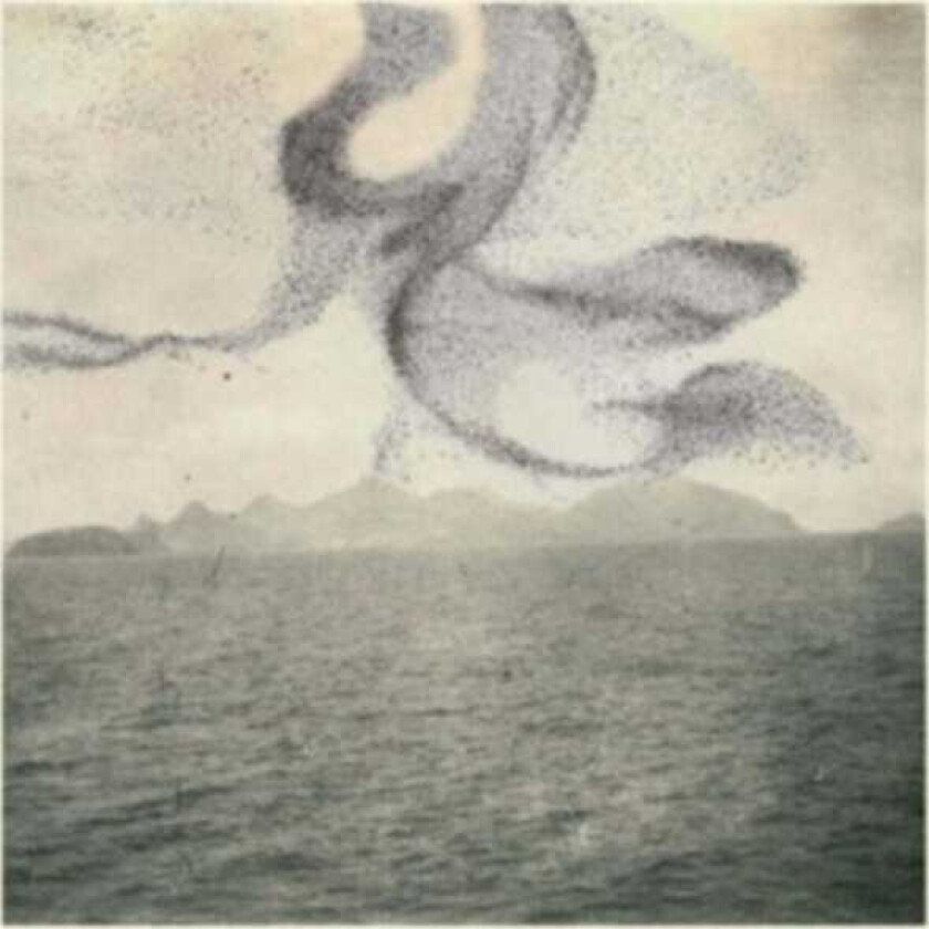 Snow Ghosts A Small Murmuration LP/Vinyl