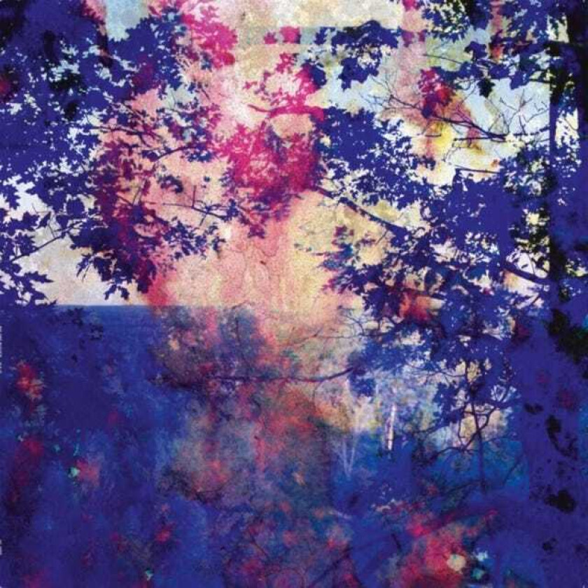 Roland Bucher Viaje LP/Vinyl