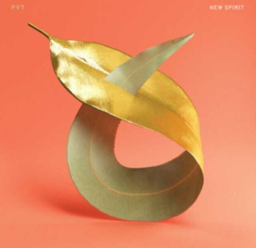 PVT New Spirit LP/Vinyl
