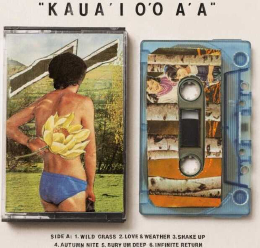 Gentle Friendly Kaua'i O'o A'a LP/Vinyl