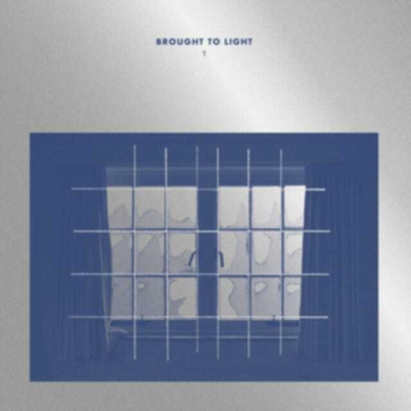 Diverse Artister Brought To Light 1 LP/Vinyl