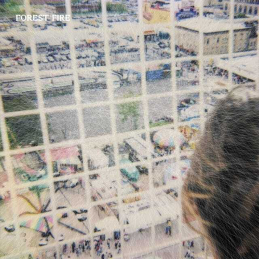 Forest Fire Staring At The X LP/Vinyl