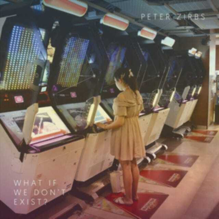 Peter Zirbs What If We Don't Exist? LP/Vinyl